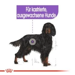 ROYAL CANIN Sterilised Maxi 12 Kg -EUKANUBA Verkäufe 6ebba30103677b140267651b6c1cc3e27c295bec 1376254 de DE oajs 5