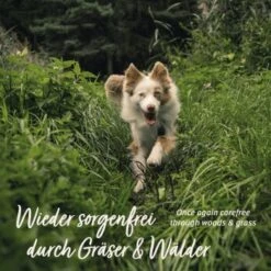 Aniforte Z-Season Snack 350g 13 Aniforte Z-Season Snack 350g -EUKANUBA Verkäufe 73a9c702b62350d9977522526f40b2f15ac1a87b 1495364 de DE a9f698c76a12bd39e549344514374e4b07a0f5b8wxpq6a