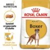 ROYAL CANIN Boxer Adult 12 Kg 1 ROYAL CANIN Boxer Adult 12 Kg -EUKANUBA Verkäufe 7428a22a998bae277319ec8a859a404995e650b4 1892335f7938491fa90f85aa1772a3ef90fa1e33