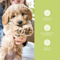 Mammaly Puppy Power 110g -EUKANUBA Verkäufe 78b89929cc0ab73d25bf14f8c5e7aa742f5ed445 1472892 6