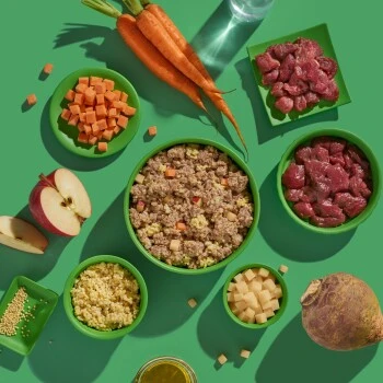 Fred & Felia FRED 10x390g Hirsch & Wildschwein Mit Hirse 6 Fred & Felia FRED 10x390g Hirsch & Wildschwein Mit Hirse – Bild 4