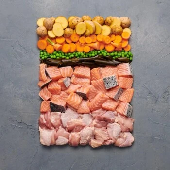 Irish Pure 12x Nassfutter Atlantik-Lachs 5 Irish Pure 12x Nassfutter Atlantik-Lachs – Bild 3