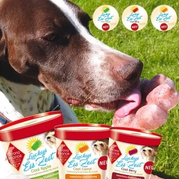 ChronoBalance Hundeeis Zum Selbermachen 3 Sorten + Form 4 ChronoBalance Hundeeis Zum Selbermachen 3 Sorten + Form – Bild 2