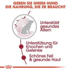 ROYAL CANIN Medium Ageing 10+ 10x140g -EUKANUBA Verkäufe 81bda48a71abccae72ce5cbcbb05544973ab46f8 fbf75e1686fe1251afcecaefa9adc99c4a2b252a