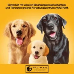 Pedigree Classic 12x800g 3 Sorten Geflügel -EUKANUBA Verkäufe 83c0001e15f2d8aa8d8ce31c6ed7d9866ef560bf 1100606 de DE pedigree 1