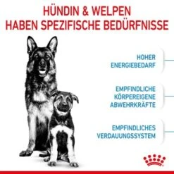 ROYAL CANIN MAXI Starter 15kg -EUKANUBA Verkäufe 84509061cc88bbba93af28332fe80ae82ca37ef9 1044296 de DE royalcaninwb2