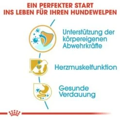 ROYAL CANIN Cavalier King Charles Puppy 1,5kg 17 ROYAL CANIN Cavalier King Charles Puppy 1,5kg -EUKANUBA Verkäufe 8477cc223d19a0eaa764098b9a973fa4fa3923d5 9f011f1614bbba8a795261ef7a01092ffc976562