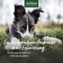 Aniforte Junior Active 250 G -EUKANUBA Verkäufe 85f14959766b1456ddfebecc96c0620d66b937f8 1422210 de DE 2b250799eeaa3b0c7abfb8ddb6b25faa05fec06cbuKE8w