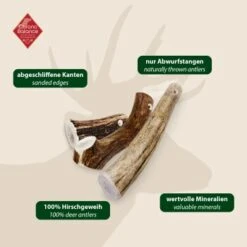 ChronoBalance Geweih Ganz (M) 2er Paket 13 ChronoBalance Geweih Ganz (M) 2er Paket -EUKANUBA Verkäufe 88cd768ead66d50ca94cd026cae2dd90ff072241 1418691 de DE 97f6faa2e066481717c6e9970bb381a3824303b8mFGeGe