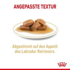 ROYAL CANIN Labrador Retriever Adul Stückchen In Soße 10x140g -EUKANUBA Verkäufe 908d2bfcf8b7046cd23a14cb7b707cf7b2315fea b65885ba483fc622da80d0c8a5f75f1f8003e0ca