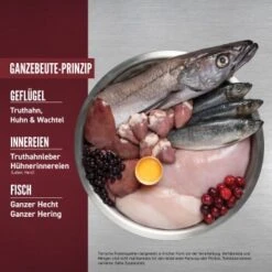 Orijen Small Breed 1,8 Kg -EUKANUBA Verkäufe 92286c476810c7b637c586243b9c49057f9a6f82 1350899 de DE ORI Small Breed Dog Carousel 2000x2000 DE 2