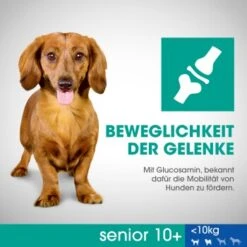 PERFECT FIT Senior Huhn 6 Kg -EUKANUBA Verkäufe 92a64f9b8f5abcaaa80d2f51cc8eb33f5378203c 1390282 de DE