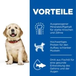 Hill's Science Plan Puppy Large Breed 16 Kg 13 Hill's Science Plan Puppy Large Breed 16 Kg -EUKANUBA Verkäufe 96858085f1bc3cabf1fc66738fe77472be488f76 52742026084 4