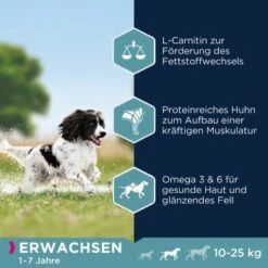 EUKANUBA Active Adult Medium Breed Mit Huhn 15 Kg -EUKANUBA Verkäufe 974a6b86f2565ad809ee31d93823535018b6d34e 8710255119786 2