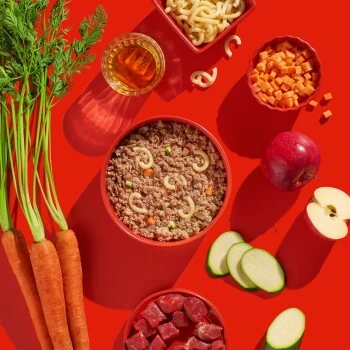 Fred & Felia FRED 10x390g Rind Mit Nudeln 6 Fred & Felia FRED 10x390g Rind Mit Nudeln – Bild 4