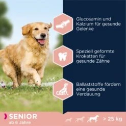 EUKANUBA Senior Large & Giant Breed Lamm & Reis 12kg 11 EUKANUBA Senior Large & Giant Breed Lamm & Reis 12kg -EUKANUBA Verkäufe 9a800125a21c4150fa4e12ea89fb6d238d0ecc05 dc3f815ea1bcea675af23baf846f997924ddadfc