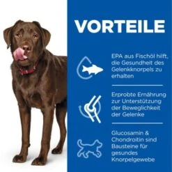 Hill's Science Plan Healthy Mobility Large Breed Adult 1+ Mit Huhn 14 Kg 11 Hill's Science Plan Healthy Mobility Large Breed Adult 1+ Mit Huhn 14 Kg -EUKANUBA Verkäufe 9e8905fa913b1b9fe4d774fbfdfb66c9ce3ad66e 52742026015 4