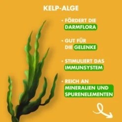 Irish Pure Adult - Huhn + Gemüse & Kelp 1,5 Kg -EUKANUBA Verkäufe a74116f94201df8c7b58e0b3d01ad72202027b8e 1274219 de DE 7c1bfde8d23493e76eae312e09565c38787e0e67kroyXL