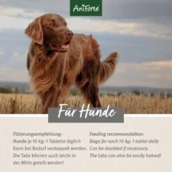 Aniforte AgilityVET Gelenktabletten 120 Stück -EUKANUBA Verkäufe a7cd317b8d970f3f2af25880d0b25163da00f276 1422195 de DE 5f70865d19afad748ab22f9cbf940daae66d47c0QM9m0G