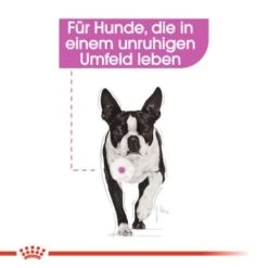 ROYAL CANIN Relax Care 12x85g -EUKANUBA Verkäufe a8e16ebf9b383d62b8f98fd1629d4e4865619a6e 6b36971f11a71751b0758ac67032d8e771cf5219