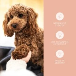 Mammaly Shiny Hair 110g 12 Mammaly Shiny Hair 110g -EUKANUBA Verkäufe ab140d426c9b296de83b5883ff261fc62a7d77c0 1472887 6