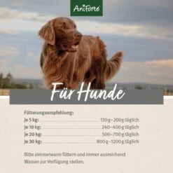 Aniforte WildForest Wild Mit Zucchini 2,4 Kg 12 Aniforte WildForest Wild Mit Zucchini 2,4 Kg -EUKANUBA Verkäufe aba8ec978465467750e767e9b30fa291638a9552 1422182 de DE ecf8c646fa9f7a73ce2de360e52f7434941d6424Z4d1ih