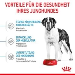 ROYAL CANIN Giant Junior 15 Kg -EUKANUBA Verkäufe ac9391ed060fc88f758d4d37f9e70e5ec4c12fb1 3182550707077 5