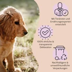 FAVLY Petfood Nature Cookies Hirsch 360 G 13 FAVLY Petfood Nature Cookies Hirsch 360 G -EUKANUBA Verkäufe ae0e416bd82871a8a65b5b89ea5ccac268b91726 1474001 de DE 80624b888460a5c29f043365a19496292e44fd84erjjco