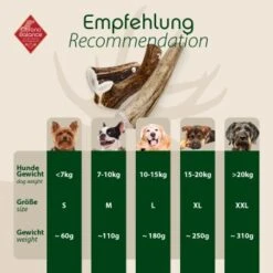 ChronoBalance Geweih Ganz (M) 2er Paket 11 ChronoBalance Geweih Ganz (M) 2er Paket -EUKANUBA Verkäufe b09bdc6125becaf4fd3ada690178b0560bc0c9a2 1418691 de DE 4d92c5e784cdd8d6b1d665763cb1e2f4941e0be4wJj4le