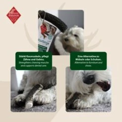 ChronoBalance Geweih Ganz (M) 2er Paket 10 ChronoBalance Geweih Ganz (M) 2er Paket -EUKANUBA Verkäufe b2e8075840eadac56388ed726a3d5c10b19ecf3c 1418691 de DE 594cf74f430c454b68b1620cb83ebdfecd05d9c5vn652K