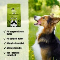 Eat Small – ACTIVE (purinarm) 10kg -EUKANUBA Verkäufe b32d85333cb181e7efdbc66e018fad5ee19e00a8 1397962 de DE 045556f8e417da90be61f538db133a32cf0ddbabGarXN3