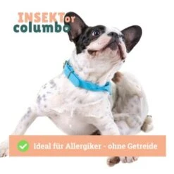 BeG Buddy Trockenfutter Insekten 750 G 14 BeG Buddy Trockenfutter Insekten 750 G -EUKANUBA Verkäufe b951bf103cba0e3ddd39b167b2a9944274144aaa 1457247 de DE 4e178ddbc2b2fdbf0c31f82dc0c4f17ba0e1886aXaHs9j