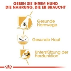 ROYAL CANIN Dalmatian Adult 12 Kg -EUKANUBA Verkäufe baa6c07ef1dd09e8ccb454bd2028b3786efeaba9 379a8fd9eb8df725952ac68389429f637ffbb937