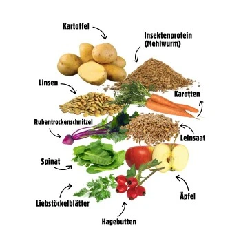 Eat Small EatSmall 3x2kg Trockenfutter Balance 9 Eat Small EatSmall 3x2kg Trockenfutter Balance – Bild 7