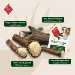 ChronoBalance Rothirsch Geweihstange Halbiert 50 G 13 ChronoBalance Rothirsch Geweihstange Halbiert 50 G -EUKANUBA Verkäufe c1c1d5f2dc2e68436e3d9eaba95be50761e7d2bf 1409474 de DE 902a389be4b99eb60431c66affbaefe4377d7689mK4Gdf