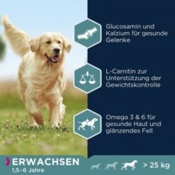 EUKANUBA Adult Large Breed Lamm & Reis 12 Kg -EUKANUBA Verkäufe ceda915d725944faec5c4ce0ca3f1aa28310f50d 35b07eba0eee28c190ee2ea2908a740198070bd5