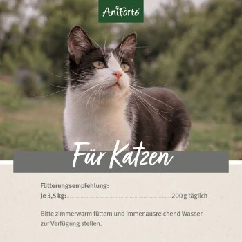 Aniforte Kaninchen & Truthahn 1,2 Kg 6 Aniforte Kaninchen & Truthahn 1,2 Kg – Bild 4