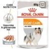ROYAL CANIN Coat Care 12x85g 2 ROYAL CANIN Coat Care 12x85g -EUKANUBA Verkäufe d0a6d6413fd09868f774eb0af000b2d5947d570d a1c5197bd67ac6248bb87496d4656427b7603da1
