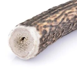 Larsson Geweih XL Ca. 160-250g 8 Larsson Geweih XL Ca. 160-250g -EUKANUBA Verkäufe d0ea2d0dd81916c0771ab948a0ba526456c57531 1057934 de DE 33de9f3780cd9591638692dec708fc97aaea117cMdAURQ