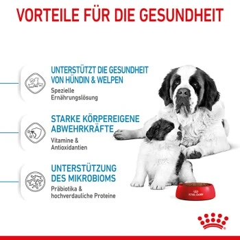 ROYAL CANIN Giant Starter 15kg 6 ROYAL CANIN Giant Starter 15kg – Bild 5