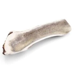 Larsson Halbiertes Geweih M Ca. 80-120g -EUKANUBA Verkäufe d681c467faf90aaafb4106ac6ff11dfde40fa0b4 1057939 de DE 07a5583c6c0a2422d7e96e9d106fdd121d9d8ba6Brcgig