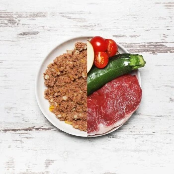 DOG'S LOVE BIO 6x800g Rind Mit Reis, Apfel & Zucchini 5 DOG'S LOVE BIO 6x800g Rind Mit Reis, Apfel & Zucchini – Bild 3