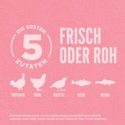 Orijen Small Breed 1,8 Kg -EUKANUBA Verkäufe d85d8823c70a5151eb6a193c1befccd8e6d56917 1350899 de DE ORI Small Breed Dog Carousel 2000x2000 DE 1