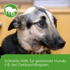 ADAPTIL Chew 30 Stück Anti Stress Snack -EUKANUBA Verkäufe dd1f44620defd2e7a86c6271361fb23975f08b2f 1374744 3