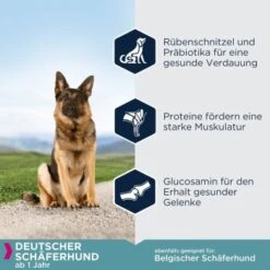 EUKANUBA Breed Specific Deutscher Schäferhund 12 Kg -EUKANUBA Verkäufe e74566402a337a12fdc798e9fabde5f0d5953a5c cc66d4c435377188d1bbad195ed5e6d7ec8074b3