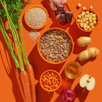 Fred & Felia FRED 10x390g JUNIOR Pute Mit Kartoffeln 6 Fred & Felia FRED 10x390g JUNIOR Pute Mit Kartoffeln – Bild 4