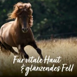 Aniforte Bierhefe Pulver 250 G -EUKANUBA Verkäufe e90f799f42291bc99923416c38244a01fcbd0b4c 1665877 de DE 065f59ee75fc3ae72a0315edf84d964644e562bc3Nrs7r