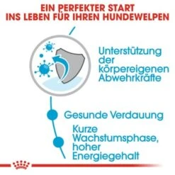 ROYAL CANIN Medium Puppy 10x140g 18 ROYAL CANIN Medium Puppy 10x140g -EUKANUBA Verkäufe ea01834e95d5331859ec66f06e01952c0612edab 86009acb36c61560ce965056594dc109940f0dfe