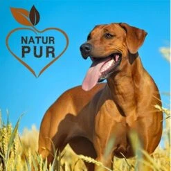 Fit-Crock Basic Rind Maxi -EUKANUBA Verkäufe ec357c554beb4e37f8bb7a6fb10e9f8ab884c69d 1687103 de DE c323a5c257120307a86f095cf5f49de81ac2f711Ful2Am