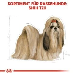 ROYAL CANIN Shih Tzu Adult 7,5 Kg 10 ROYAL CANIN Shih Tzu Adult 7,5 Kg -EUKANUBA Verkäufe f49cada8ff76f27d6fb41836e909f22e9785a08e 2d7c06d979ea9a8ddf00439499c209e92cc75b35